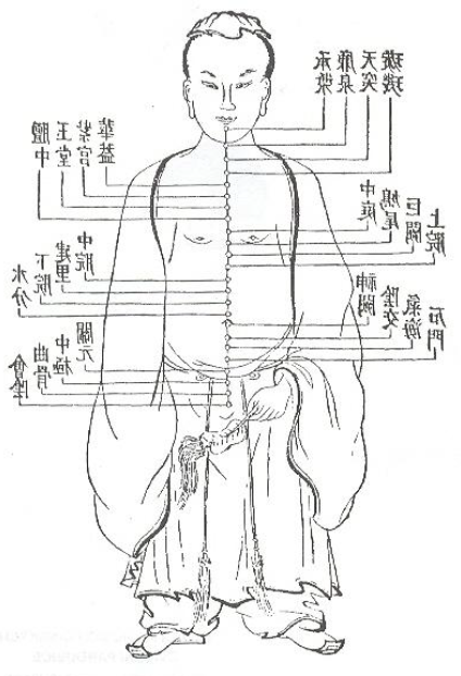 Shiatsu a ShinTai